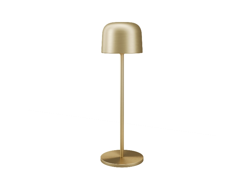 Уличный переносной аккумуляторный светильник Maytoni Noble O528TL-L2BSCCT