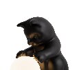 Настольный светильник Freya Вискер FR5607TL-01B