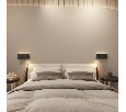 Бра с подсветкой Denkirs CHARGELUX DK5093-BK